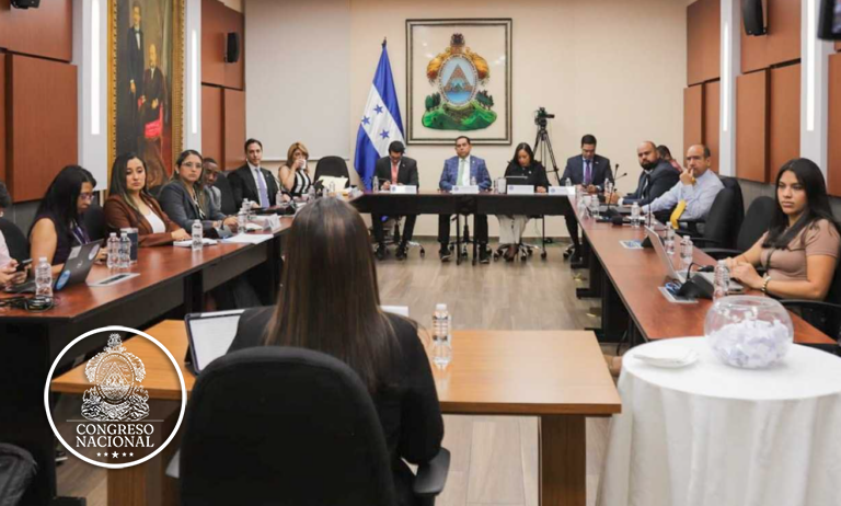 Comisión del Congreso definirá el martes los 18 candidatos para CNE y TJE