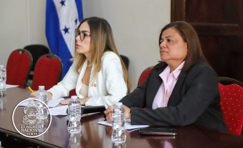Congreso impulsa reformas para proteger defensores ambientales