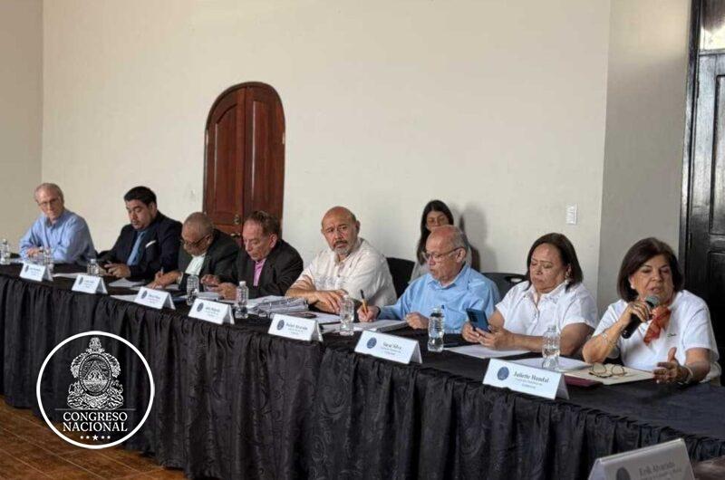 Comisión de Minería del CN analiza propuestas sobre mercado de combustibles